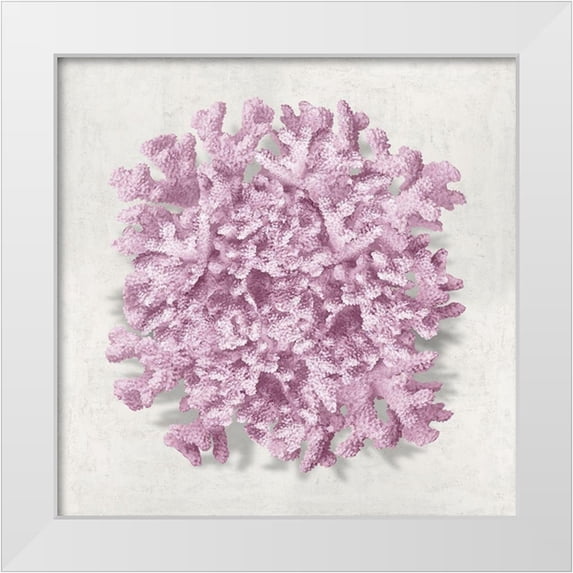 Kelly, Caroline 20x20 White Modern Wood Framed Museum Art Print Titled - Coral Blush II