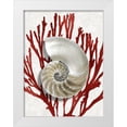 thumbnail image 1 of Kelly, Caroline 25x32 White Modern Wood Framed Museum Art Print Titled - Shell Coral Red II, 1 of 4