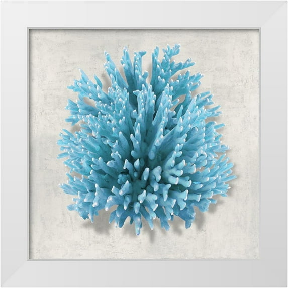 Kelly, Caroline 26x26 White Modern Wood Framed Museum Art Print Titled - Coral Aqua I