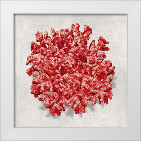 Kelly, Caroline 26x26 White Modern Wood Framed Museum Art Print Titled - Coral Red II