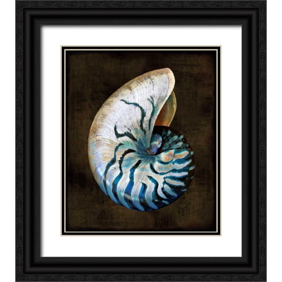 Kelly, Caroline 26x30 Black Ornate Wood Framed with Double Matting Museum Art Print Titled - Ocean Treasure IV