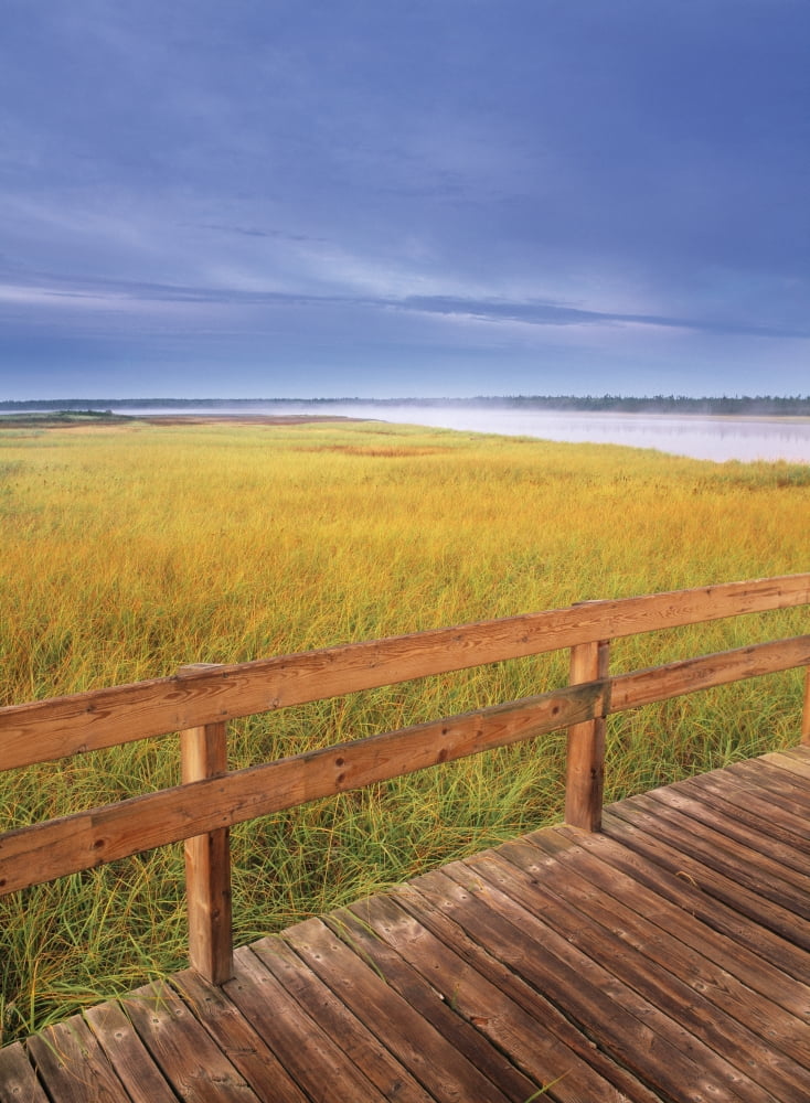 Kellys Beach Boardwalk Kouchibouguac National Park New Brunswick Canada Canvas Art - Darwin Wiggett Design Pics (22 x 32)