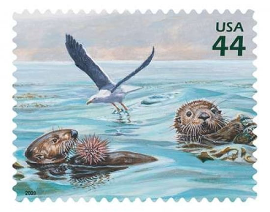 Kelp Forest - Western Gull Southern Sea Otter Red Sea Urchin Canvas Art - US POSTAL SERVICE (22 x 28)