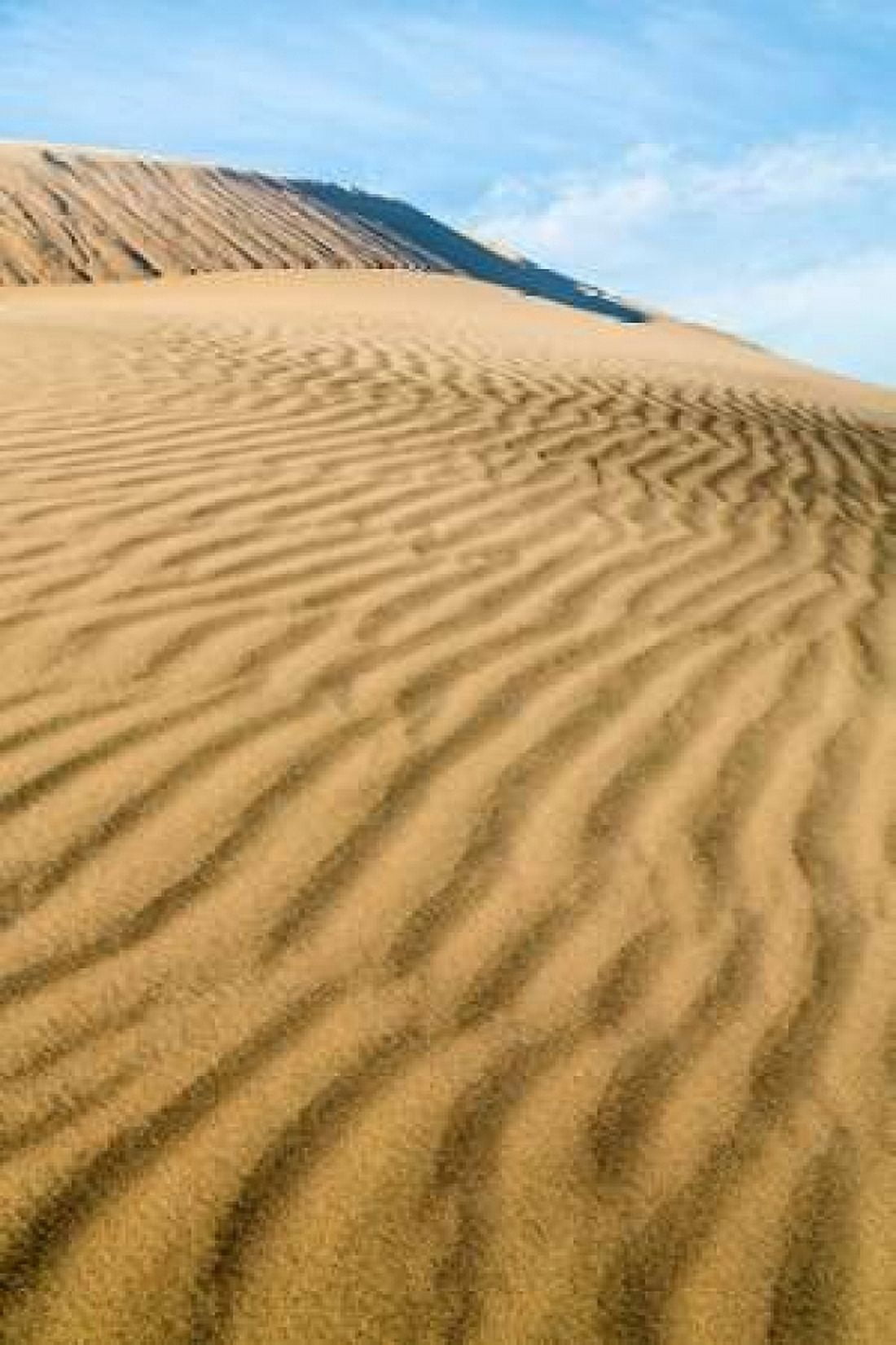 Kelso Dunes II Canvas Art - Kathy Mahan (12 x 18)
