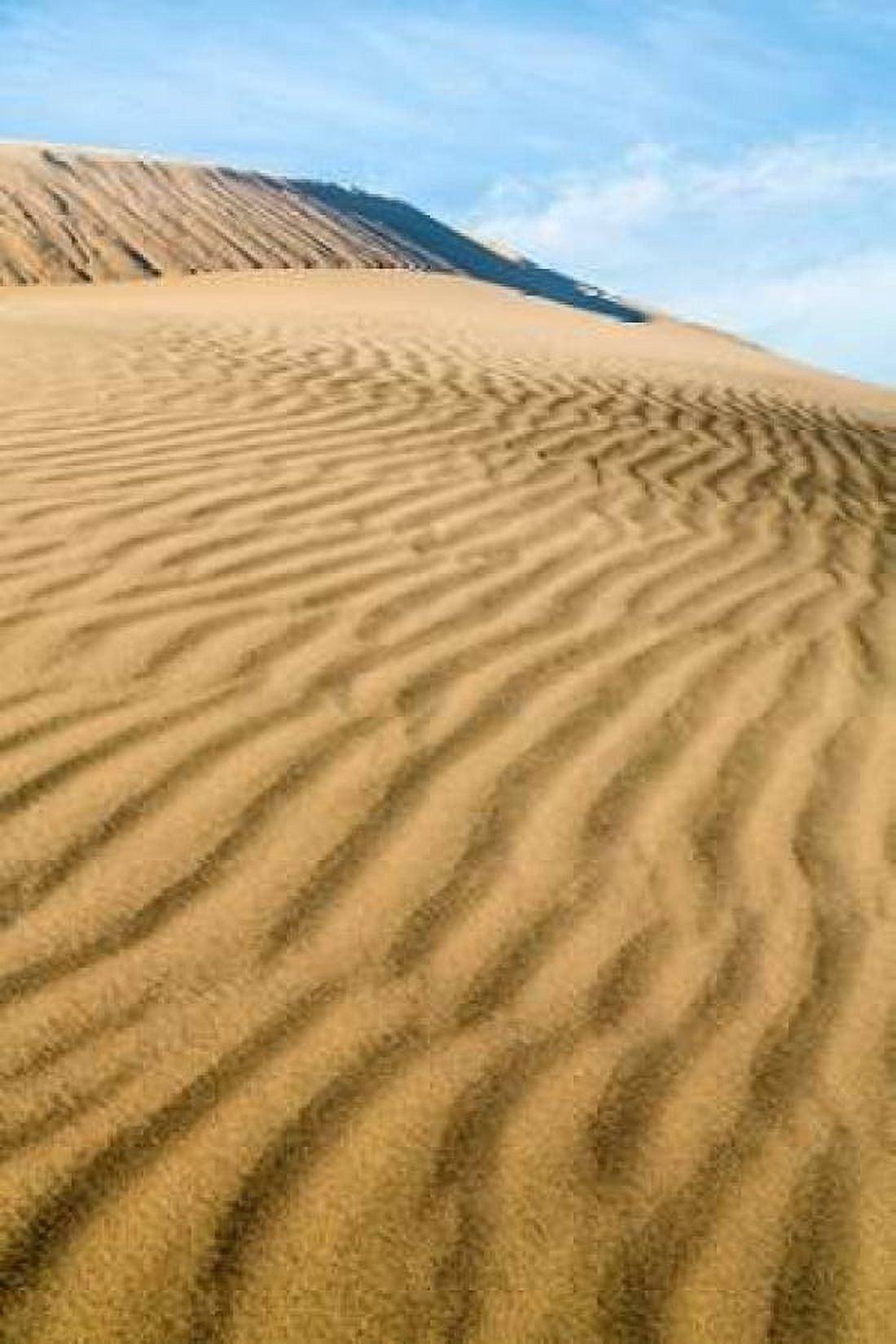 Kelso Dunes II Canvas Art - Kathy Mahan (24 x 36)