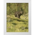 thumbnail image 1 of Kemp, Oliver 12x14 White Modern Wood Framed Museum Art Print Titled - Black Bear, 1 of 4