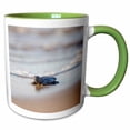 thumbnail image 1 of 3drose, Kemps Ridley Sea Turtle Hatchling Near the Ocean Waters., 11oz Two-tone Green Mug, 1 of 6