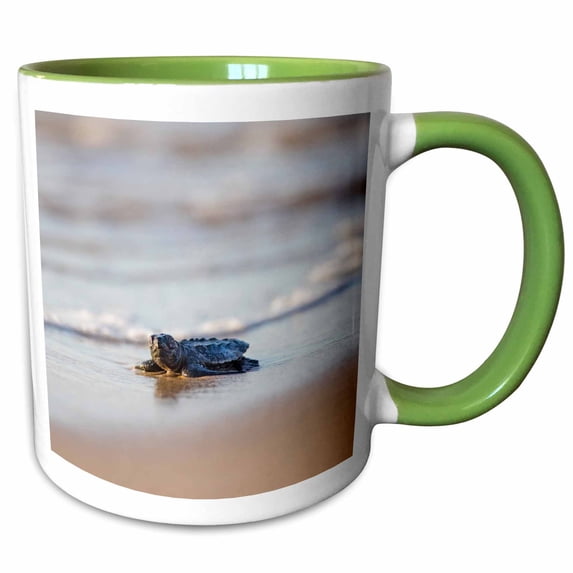 3drose, Kemps Ridley Sea Turtle Hatchling Near the Ocean Waters., 11oz Two-tone Green Mug