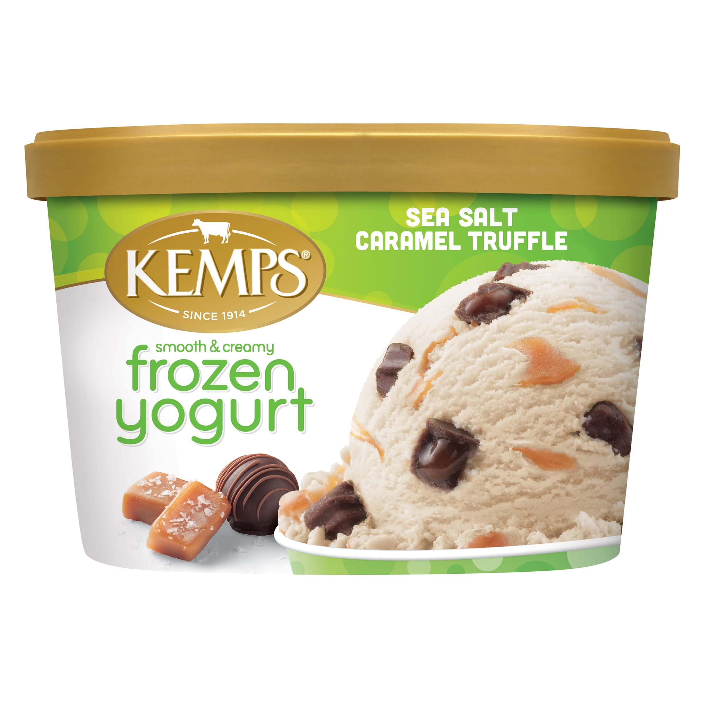 Kemps Smooth & Creamy Sea Salt Caramel Truffle Frozen Yogurt 1.5 qt