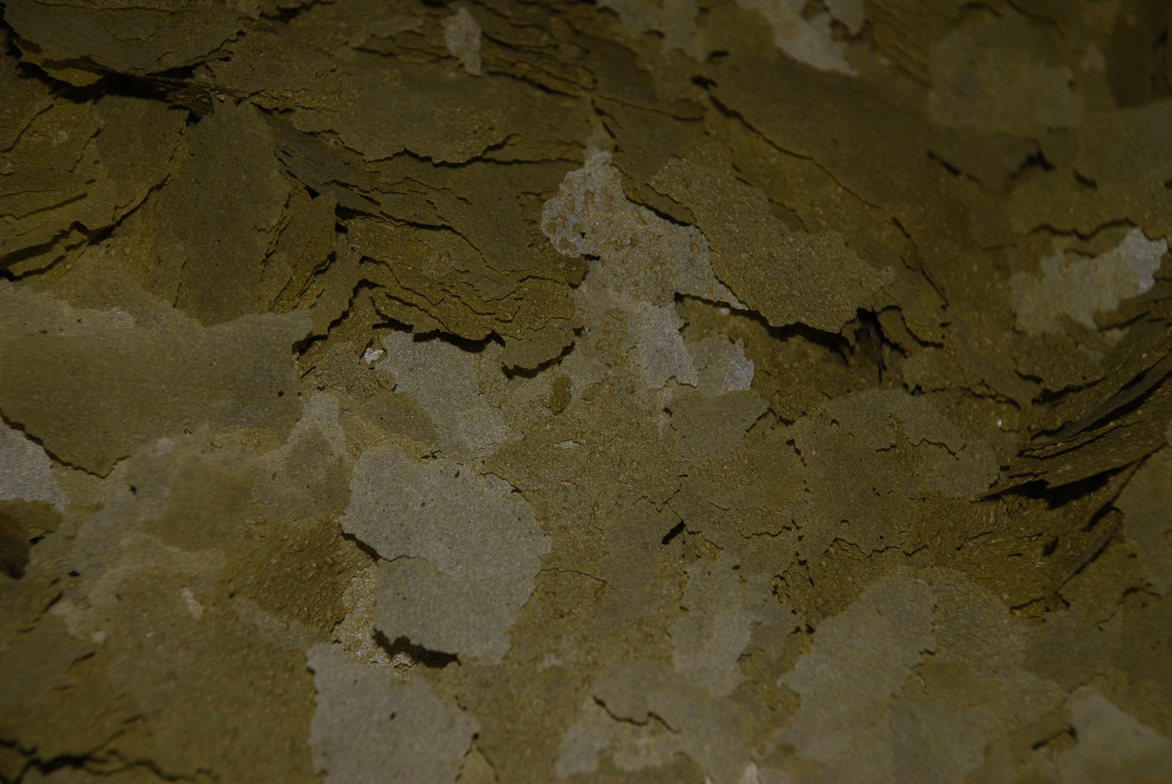 Ken's Ultra Intense Spirulina Flake