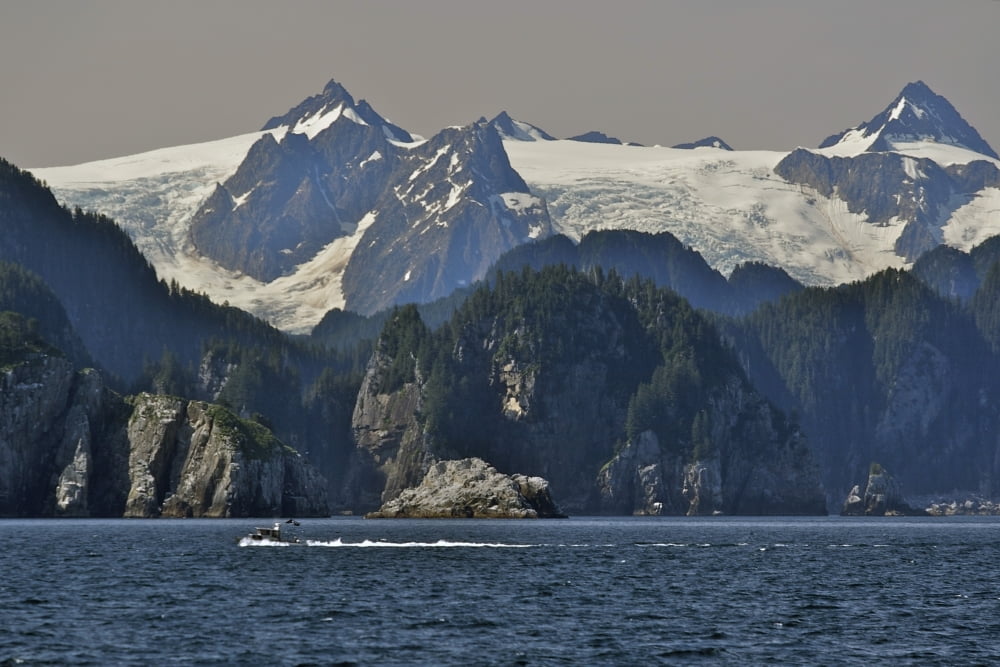 Kenai Fjords Tour Boat In Resurrection Bay Near Seward Alaska During Summer Canvas Art - Clark Mishler Design Pics (17 x 11)