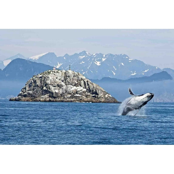 Kenai Fjords Wall Alaska Landscape Scenic Painting Gallery Wrapped Canvas Art Kenai Fjords Picture Ready to Hang