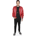 thumbnail image 1 of Kendall Schmidt (Red Jacket) Mini Cardboard Cutout Standee, 1 of 5
