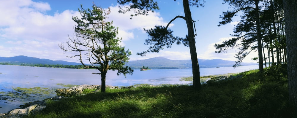 Kenmare Bay Dunkerron Islands Co Kerry Ireland Shoreline On A Bay Canvas Art - The Irish Image Collection Design Pics (36 x 14)