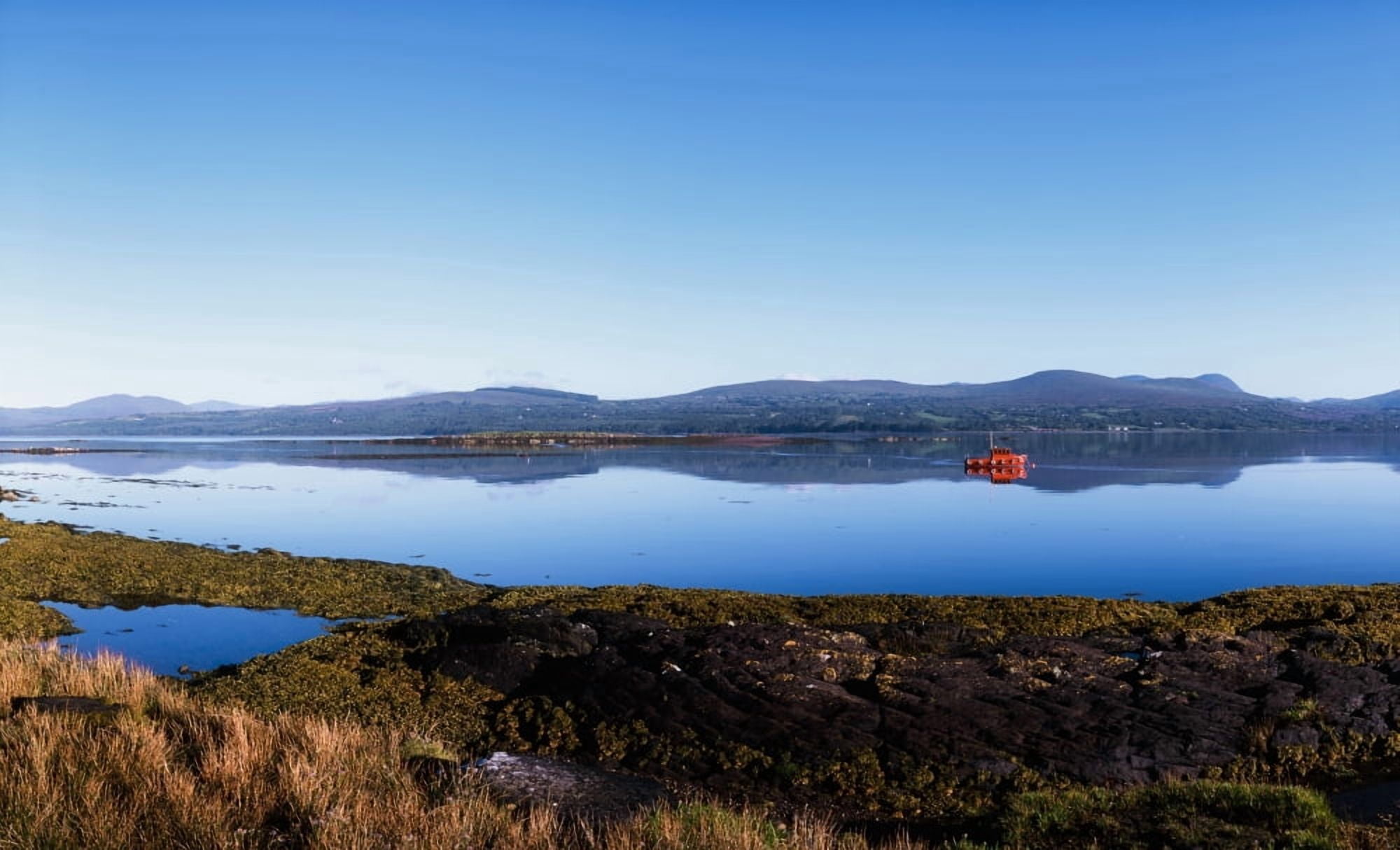 Kenmare Bay Dunkerron Islands Co Kerry Ireland Shoreline On A Bay Canvas Art - The Irish Image Collection Design Pics (36 x 22)