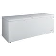 Kenmore 21 Cu. Ft. (595L) Convertible Chest Freezer/Refrigerator