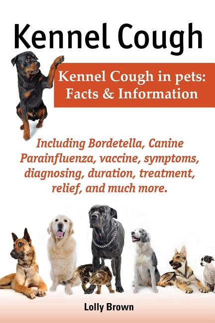 Kennel Cough. Including Symptoms, Diagnosing, Duration, Treatment ...