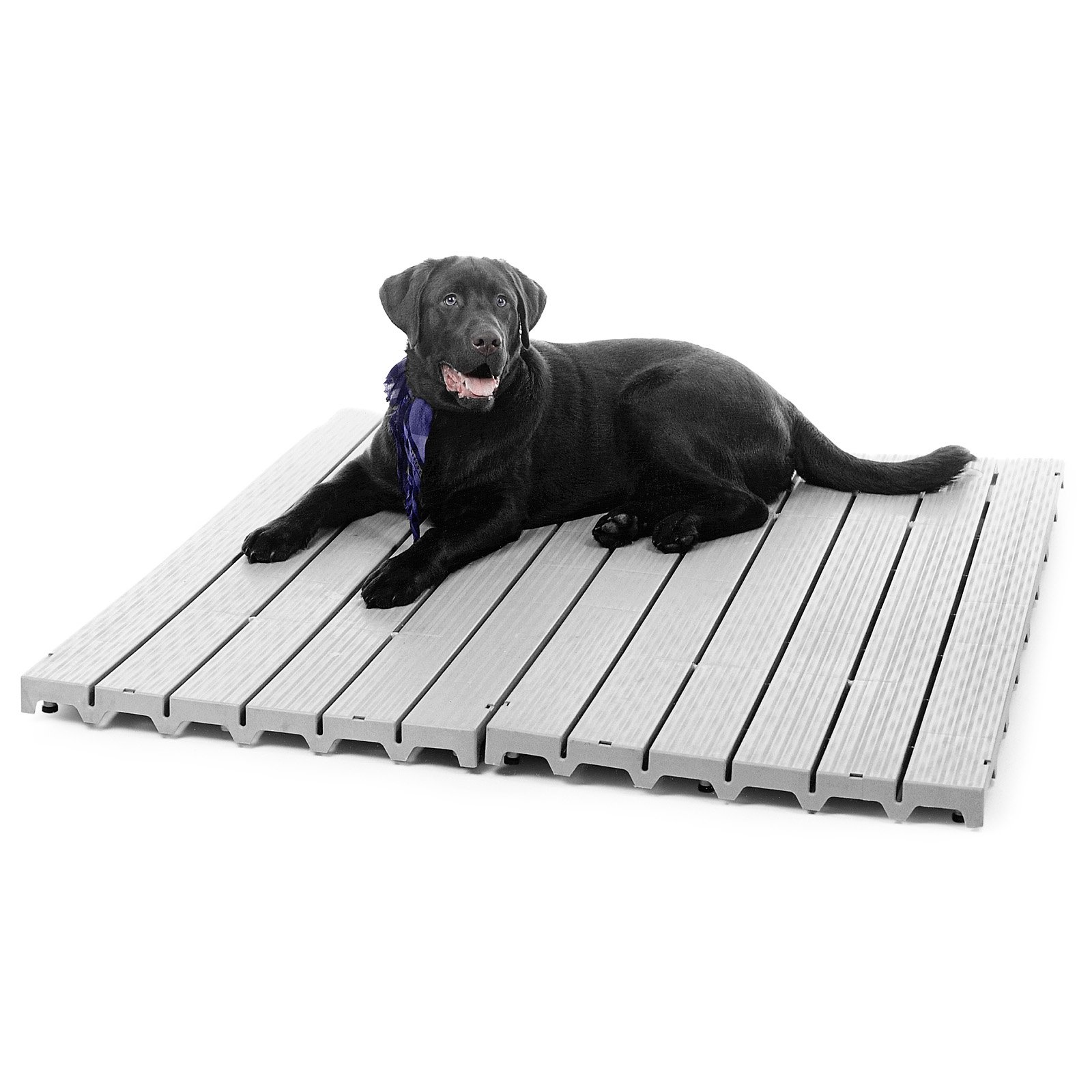 Kennel Deck - image 1 of 3