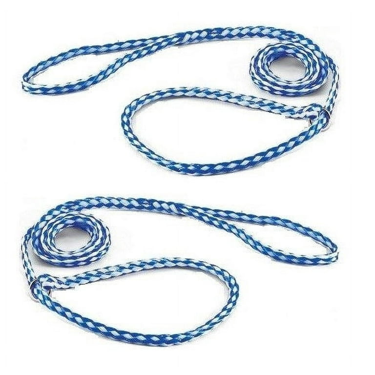 Kennel leads sale bulk