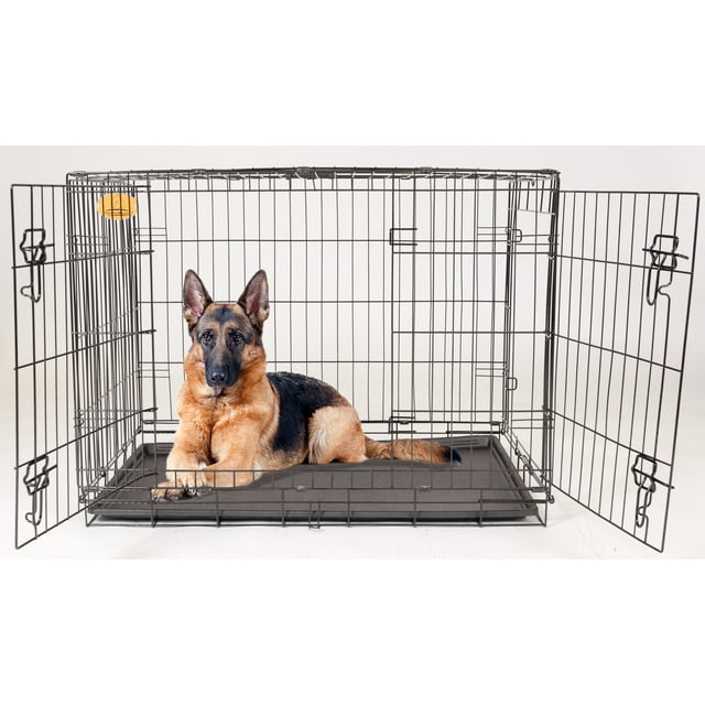 KennelMaster Double Door Folding Wire Dog Crate, Black, Large, 48"L