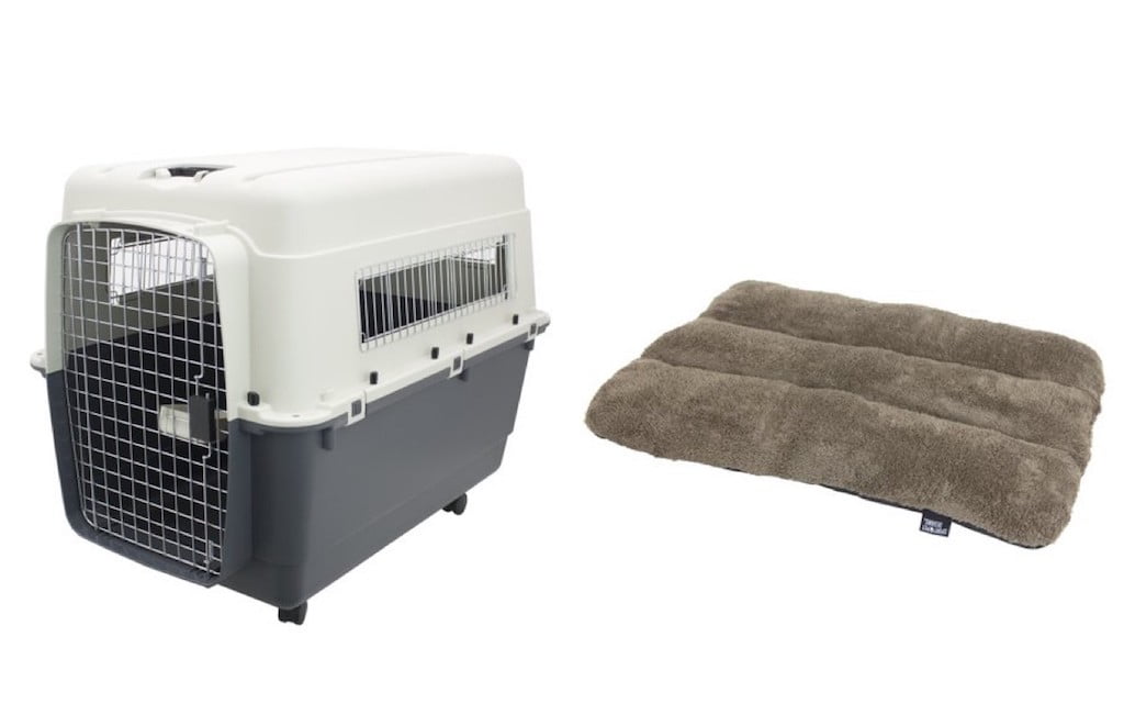 Kennels Direct Premium Plastic Dog Kennel and Travel Crate, Small, with Sportpet Designs Waterproof 20" pet bed , Small