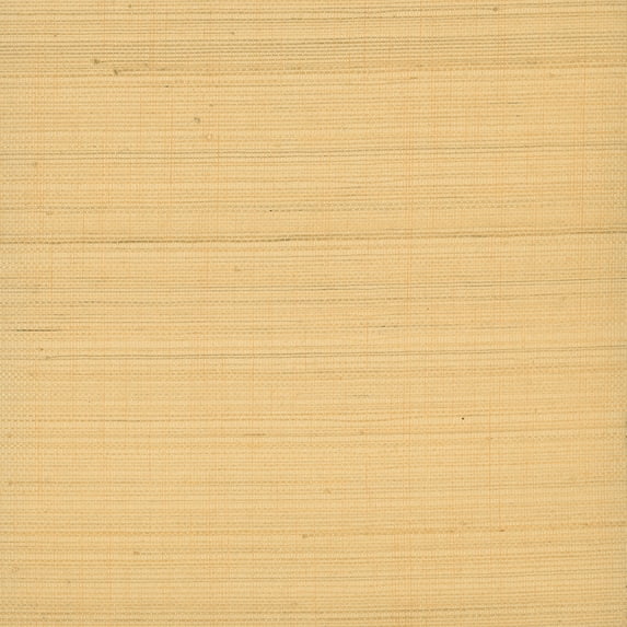 Kenneth James Li Beige Grasscloth Wallpaper, 36-in by 24-ft, 72 sq. ft