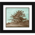 thumbnail image 1 of Kennion, Edward 17x15 Black Ornate Wood Framed with Double Matting Museum Art Print Titled - Serene Trees VI, 1 of 4
