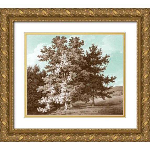 Kennion, Edward 23x20 Gold Ornate Wood Framed with Double Matting Museum Art Print Titled - Serene Trees I