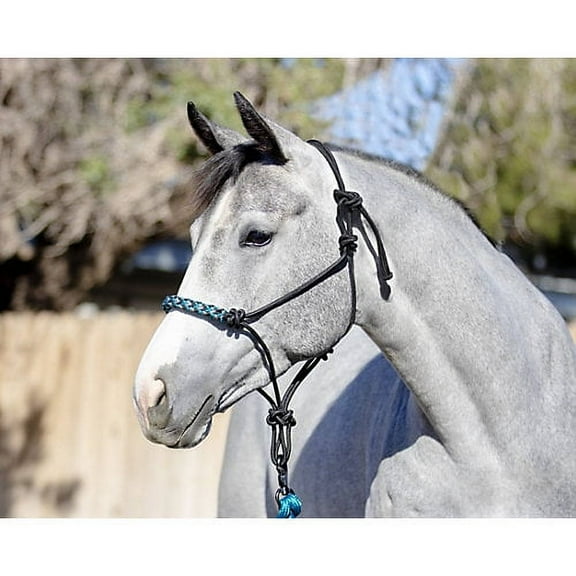 Kensington Clinician Rope Halter Atlantis Horse