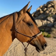 Professionals Choice Beaded Rope Halter Turquoise - Walmart.com