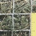 thumbnail image 1 of Freedom Feeder Extended Day Slow Feed Hay Net 2 IN, 1 of 8