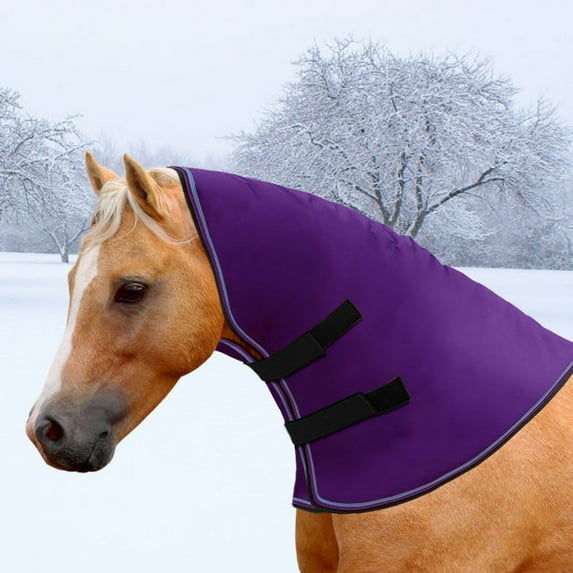 Kensington Signature Neck Warmer Pony (180g Medium) Size: Pony, Color: Purple