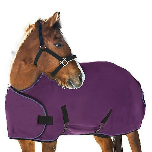Kensington Weanling Adjustable Turnout Blanket (180g Medium) Color: Purple, Size: 50-58" - Kensington Protective Products