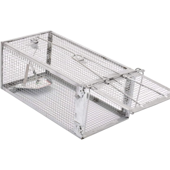 Kensizer Animal Humane Live Cage Trap that Work for Rat Mouse Chipmunk Mice Voles Hamsters and Other Small Rodents, Trampa para Ratones, Catch and Release 1Pack Medium 12" L x 6.5" W x 5" H