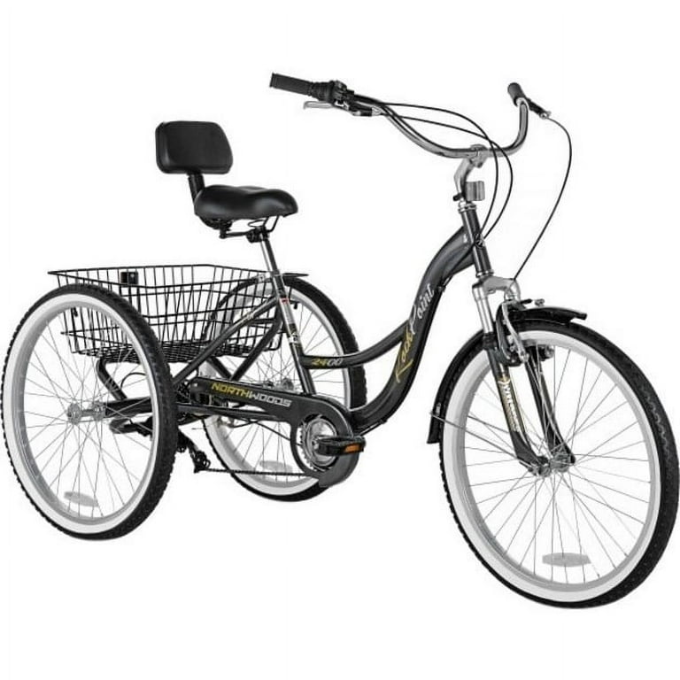 Northwoods store folding bike