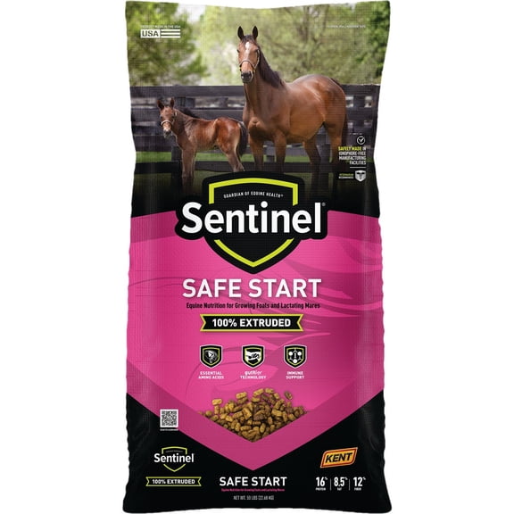 Kent Feeds Kent Sentinel Safe Start Horse Feed - Single Pack
