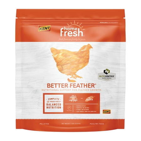 Kent Home Fresh Poultry Feed Better Feather Layer Pellets 7 pound