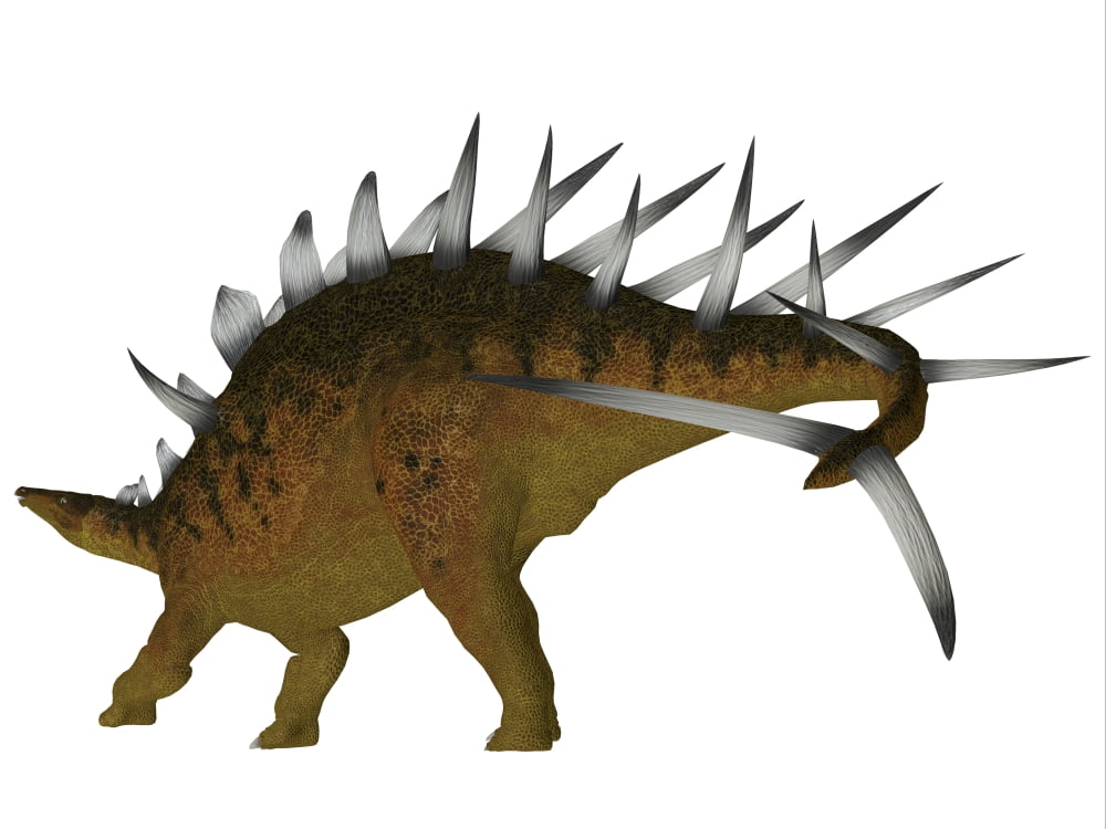 Kentrosaurus dinosaur Canvas Art - Corey FordStocktrek Images (17 x 13)