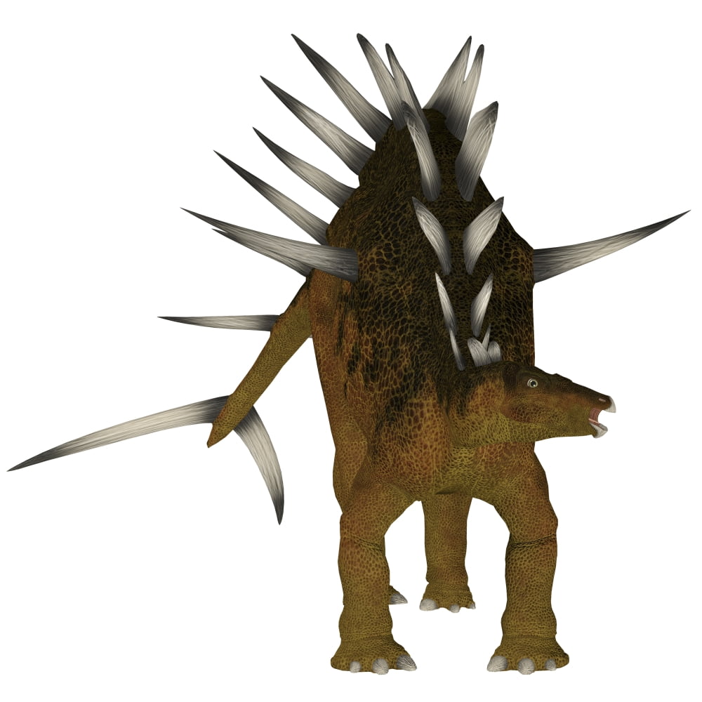 Kentrosaurus dinosaur Canvas Art - Corey FordStocktrek Images (29 x 29)