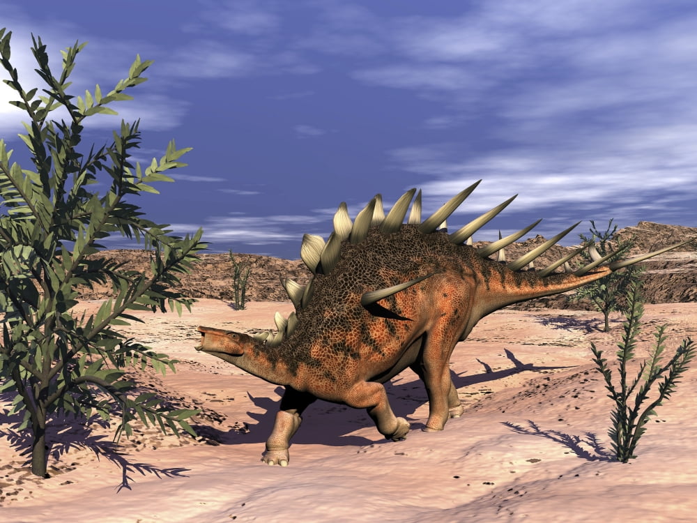 Kentrosaurus dinosaur grazing on a dicroidium plant Canvas Art - Elena DuvernayStocktrek Images (33 x 25)