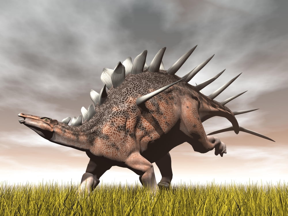 Kentrosaurus dinosaur running on the yellow grass Canvas Art - Elena DuvernayStocktrek Images (33 x 25)