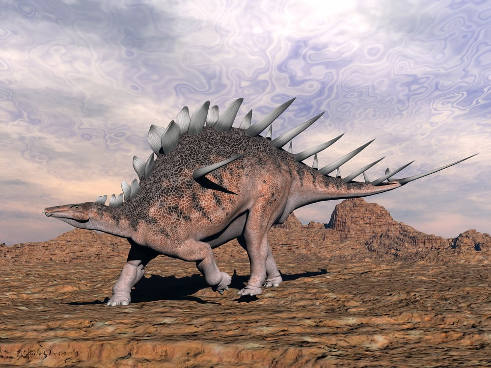 Kentrosaurus dinosaur walking in the desert Canvas Art - Elena DuvernayStocktrek Images (17 x 13)