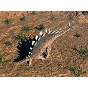 Kentrosaurus dinosaur walking in the desert, viewed from directly above Poster Print (32 x 24)