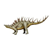 Kentrosaurus dinosaur, white background Poster Print (16 x 12)