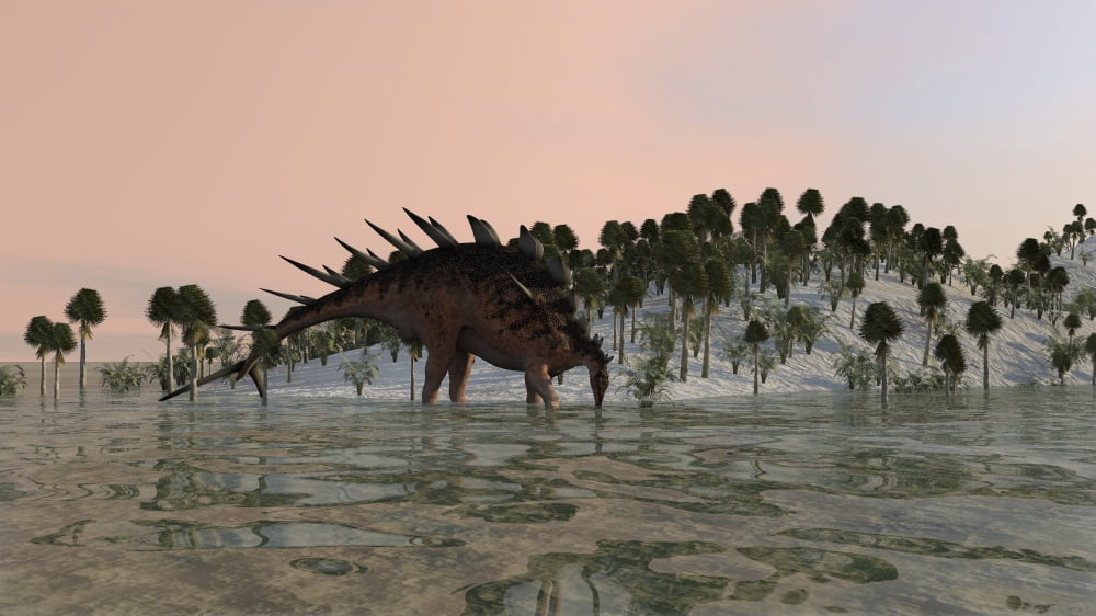 Kentrosaurus drinking from prehistoric waters Canvas Art - Kostyantyn IvanyshenStocktrek Images (38 x 22)