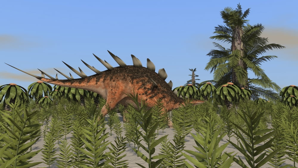 Kentrosaurus grazing amongst desert plants Canvas Art - Kostyantyn IvanyshenStocktrek Images (19 x 11)