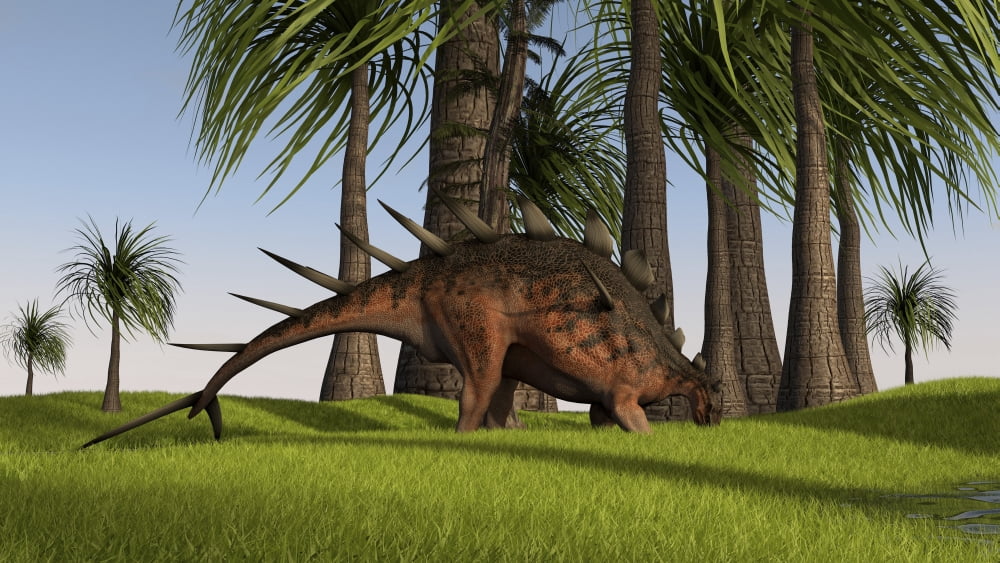 Kentrosaurus grazing in a grassy field Canvas Art - Kostyantyn IvanyshenStocktrek Images (19 x 11)