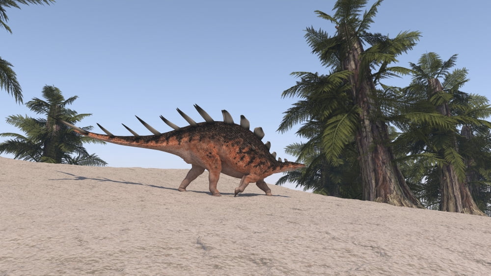 Kentrosaurus in a prehistoric environment Canvas Art - Kostyantyn IvanyshenStocktrek Images (19 x 11)