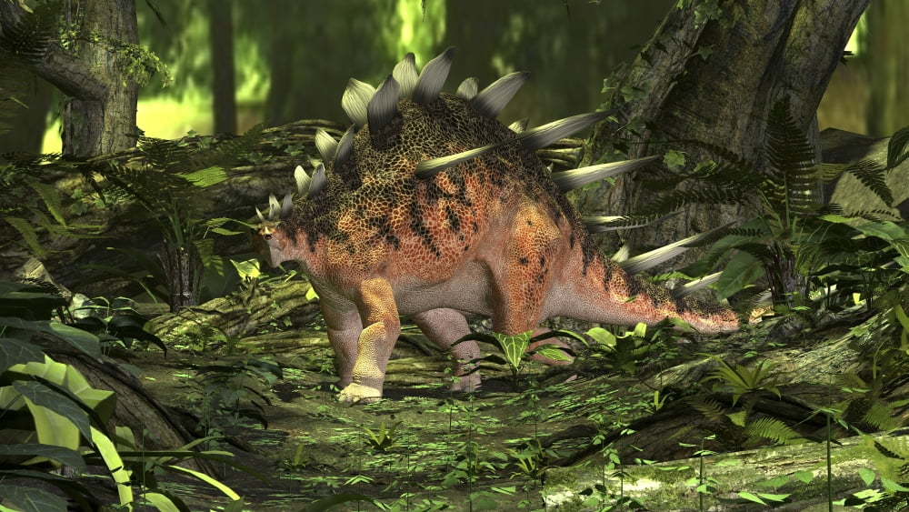 Kentrosaurus in a prehistoric forest Canvas Art - Kostyantyn IvanyshenStocktrek Images (19 x 11)
