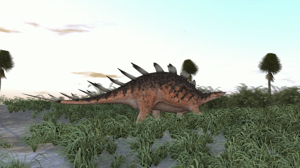Kentrosaurus in a prehistoric landscape Canvas Art - Kostyantyn IvanyshenStocktrek Images (19 x 11)